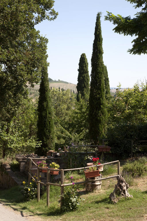Agriturismo Podere Olivello In Val D'Orcia 蒙塔尔奇诺 外观 照片