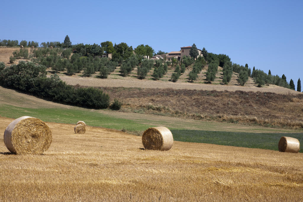 Agriturismo Podere Olivello In Val D'Orcia 蒙塔尔奇诺 外观 照片